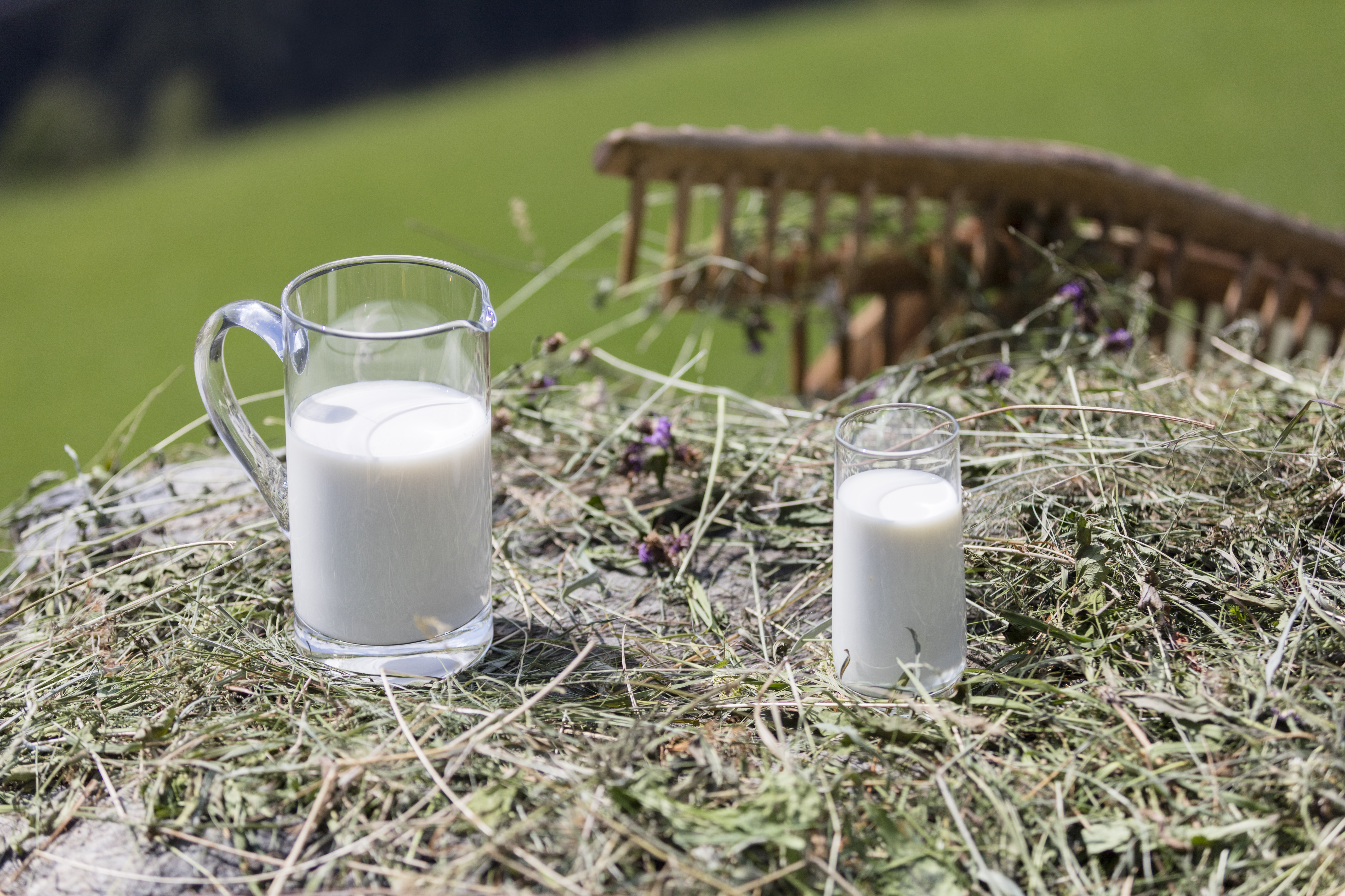 Milk. Solo prodotti buoni e genuini come il latte.