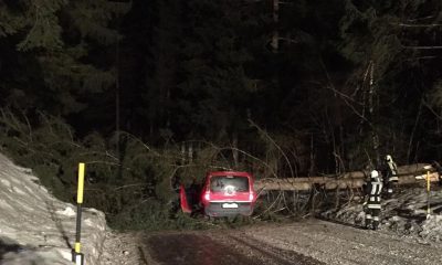 incidente vento Alto Adige