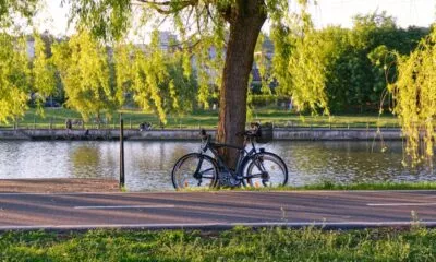 mobilità sostenibile